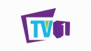 TV One Logo